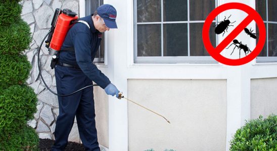 İkizce Dezenfeksiyon böcek ilaçlama ve haşere kontrolü — ilaclama-tr.com